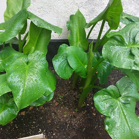 San Salvador Parking Gratis At-ba-00338 Apartment *